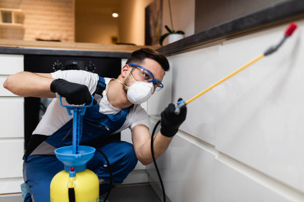 Best Termite Control Services  in Sylvan Lake, MI