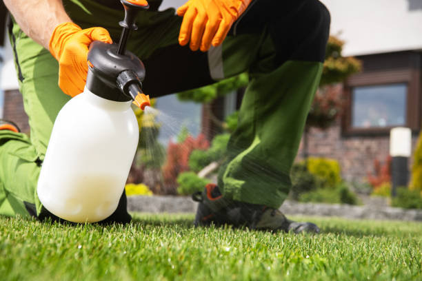 Best Exterminator Services  in Sylvan Lake, MI