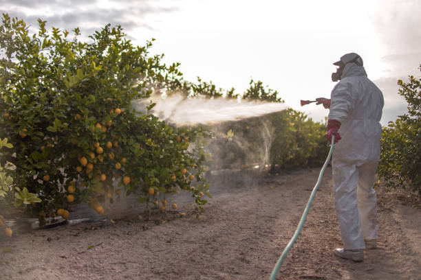 Best Bed Bug Extermination  in Sylvan Lake, MI